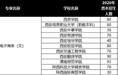 电子商务专业需要多少分