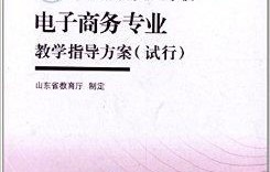 电子商务专业辅导书