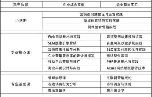 电子商务专业报考方向