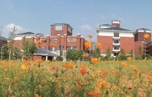湘潭电子商务专业学校