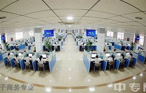 本科生学电子商务专业