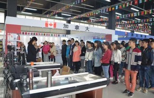 濮阳专业教电子商务的培训机构