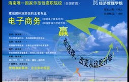 巴西的电子商务专业好吗