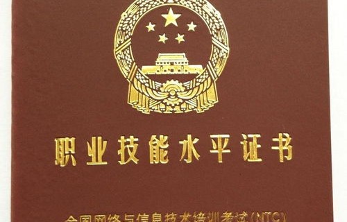 有关电子商务专业的证