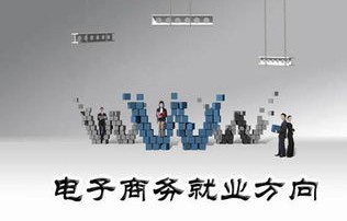 电子商务技术和应用专业