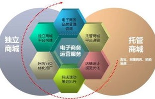 与电子商务同类型的专业
