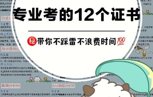 电子商务能考研的专业有