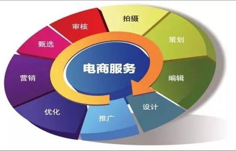 电子商务可以改什么专业