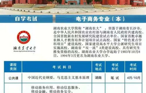 电子商务专业招体育生吗