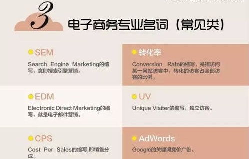 电子商务专业性知识