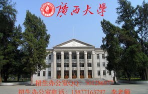 广西文科电子商务专业