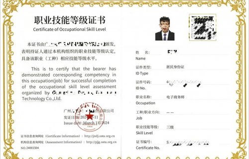 技校电子商务专业有证吗