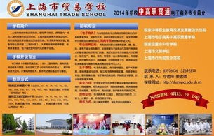 电子商务专业的招生图片