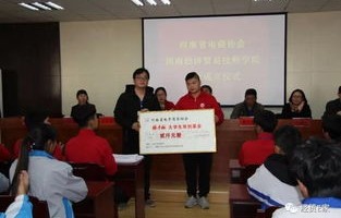 河南省电子商务学院专业