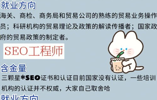 电子商务专业适合大专吗