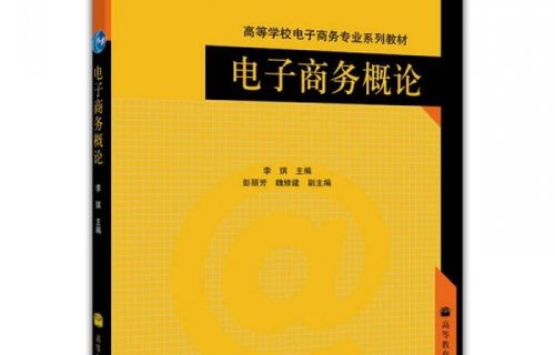 司法系有电子商务专业吗