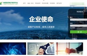 医药专业电子商务网