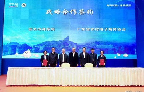 韶关专业电子商务批发价