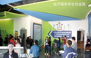 大专电子商务专业服装