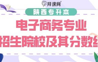 本科选专业电子商务怎样