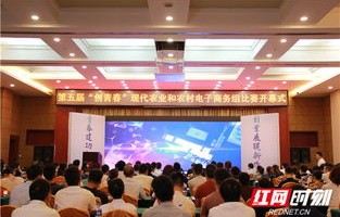 益阳电子商务专业