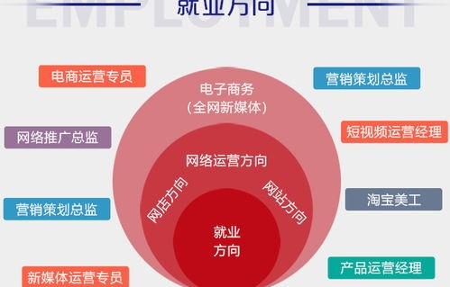 电子商务专业的求职方向