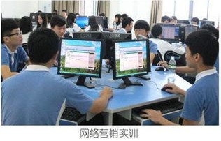 在大学学的电子商务专业