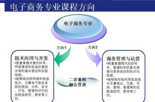 电子商务专业研究的方向