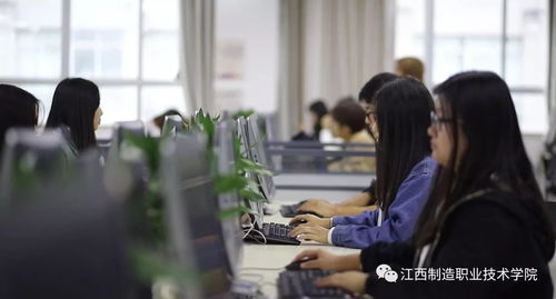 电子商务专业有女生嘛