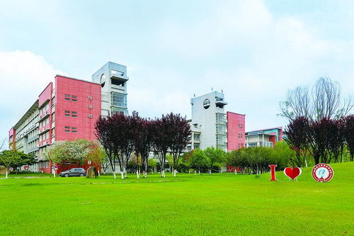成都电子商务专业大学