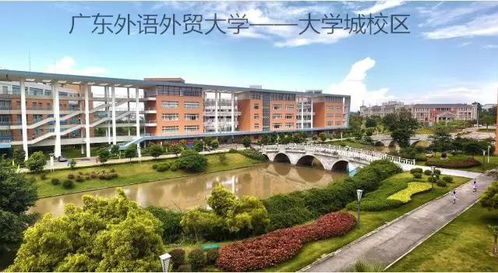 电子商务专业的广东学校
