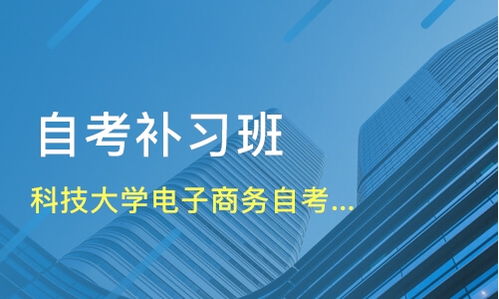 自考电子商务专业本科