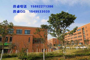 深圳电子商务专业的学校