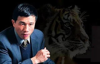 业内对肖某辩称离场四十分钟不实之事的回应