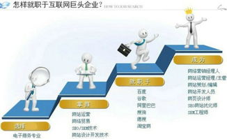电子商务专业的职业类型