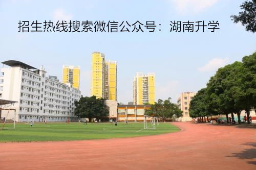 湖南王牌专业电子商务