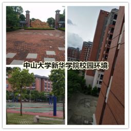 中大新华电子商务专业