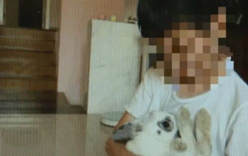 福建8岁失踪男孩脚印被发现的消息引热议，真相竟是假象？