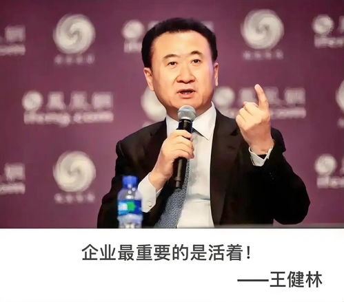 王健林4.9亿股权被冻结，万达帝国再受重创
